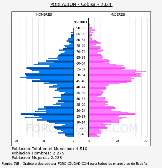 Cobisa - Pir�mide de poblaci�n por a�os- Censo 2024