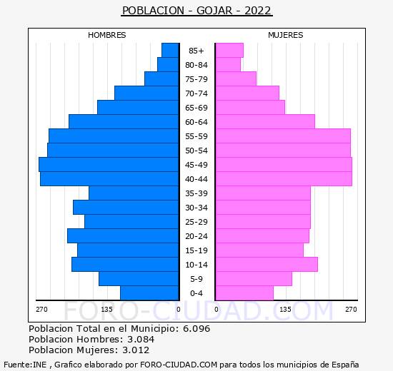 Gójar - Pirámide de población grupos quinquenales - Censo 2022