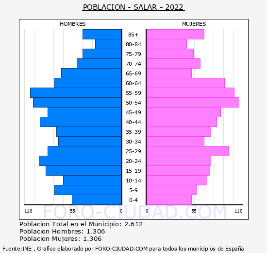 Salar - Pirámide de población grupos quinquenales - Censo 2022