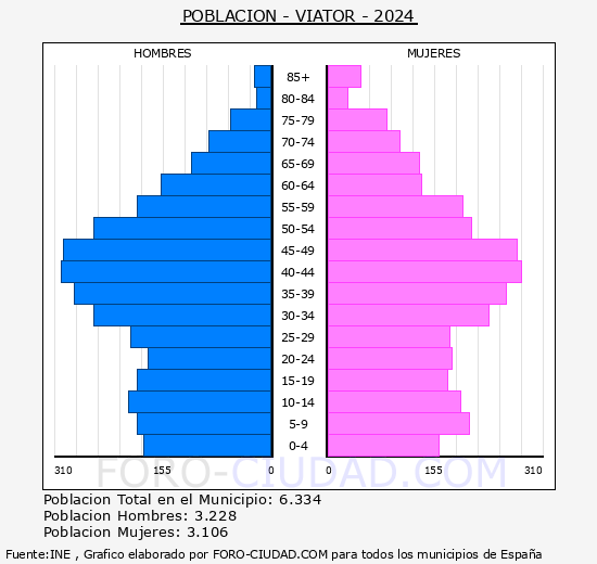Viator - Pirmide de poblacin grupos quinquenales - Censo 2024