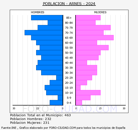 Arnes - Pirmide de poblacin grupos quinquenales - Censo 2024