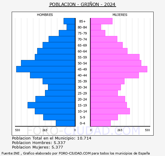 Grin - Pirmide de poblacin grupos quinquenales - Censo 2024