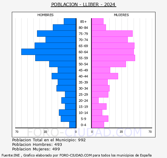 Llber - Pirmide de poblacin grupos quinquenales - Censo 2024