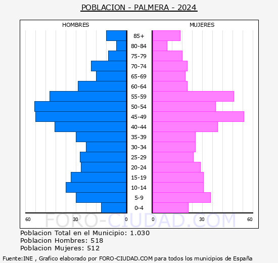 Palmera - Pirmide de poblacin grupos quinquenales - Censo 2024
