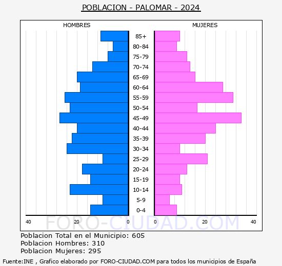el Palomar - Pir�mide de poblaci�n grupos quinquenales - Censo 2024