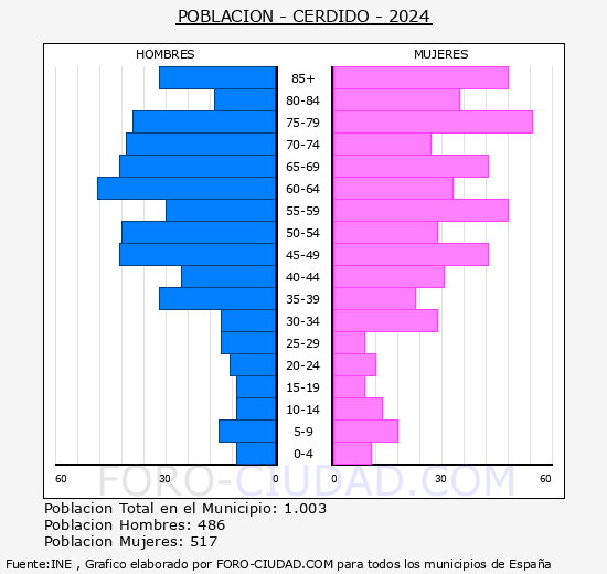 Cerdido - Pirmide de poblacin grupos quinquenales - Censo 2024