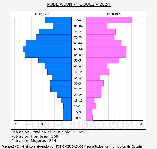 Toques - Pirmide de poblacin grupos quinquenales - Censo 2024