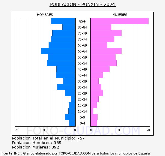Punxn - Pirmide de poblacin grupos quinquenales - Censo 2024