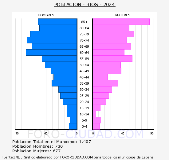 Ris - Pirmide de poblacin grupos quinquenales - Censo 2024
