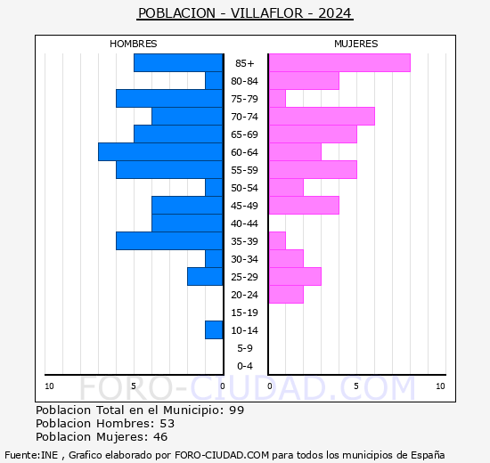Villaflor - Pirmide de poblacin grupos quinquenales - Censo 2024
