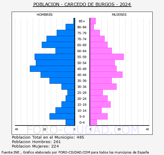 Carcedo de Burgos - Pirmide de poblacin grupos quinquenales - Censo 2024