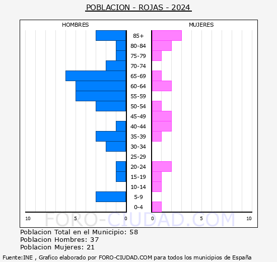 Rojas - Pirmide de poblacin grupos quinquenales - Censo 2024