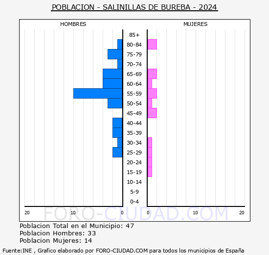 Salinillas de Bureba - Pirmide de poblacin grupos quinquenales - Censo 2024