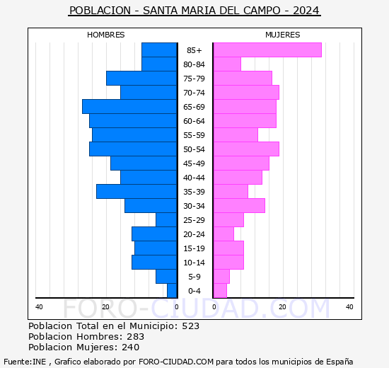 Santa Mara del Campo - Pirmide de poblacin grupos quinquenales - Censo 2024