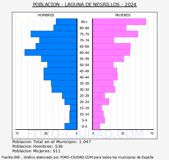 Laguna de Negrillos - Pir�mide de poblaci�n grupos quinquenales - Censo 2024