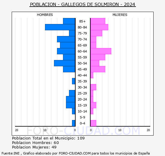 Gallegos de Solmirn - Pirmide de poblacin grupos quinquenales - Censo 2024