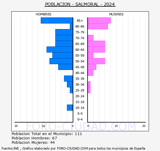 Salmoral - Pirmide de poblacin grupos quinquenales - Censo 2024