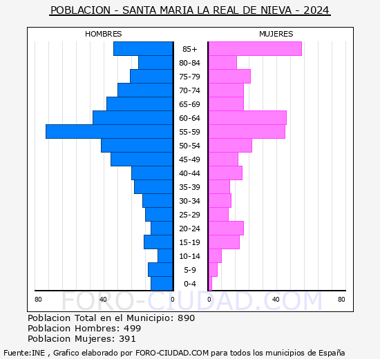 Santa Mara la Real de Nieva - Pirmide de poblacin grupos quinquenales - Censo 2024