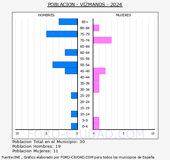 Vizmanos - Pirmide de poblacin grupos quinquenales - Censo 2024