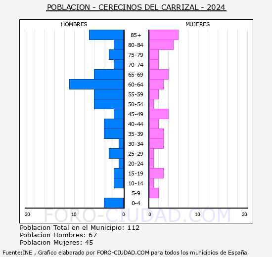 Cerecinos del Carrizal - Pirmide de poblacin grupos quinquenales - Censo 2024