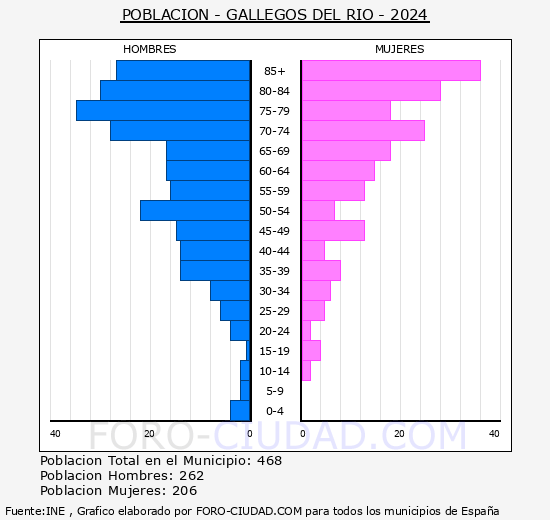 Gallegos del Ro - Pirmide de poblacin grupos quinquenales - Censo 2024
