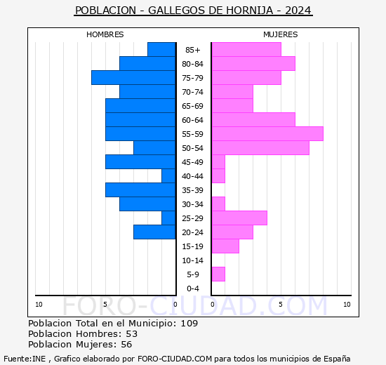 Gallegos de Hornija - Pirmide de poblacin grupos quinquenales - Censo 2024