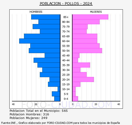 Pollos - Pirmide de poblacin grupos quinquenales - Censo 2024