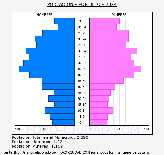 Portillo - Pirmide de poblacin grupos quinquenales - Censo 2024