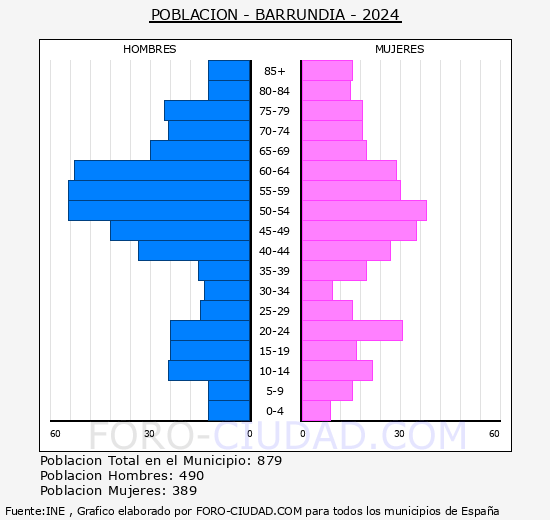 Barrundia - Pirmide de poblacin grupos quinquenales - Censo 2024