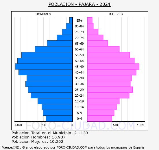 Pjara - Pirmide de poblacin grupos quinquenales - Censo 2024
