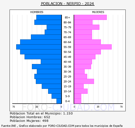 Nerpio - Pirmide de poblacin grupos quinquenales - Censo 2024