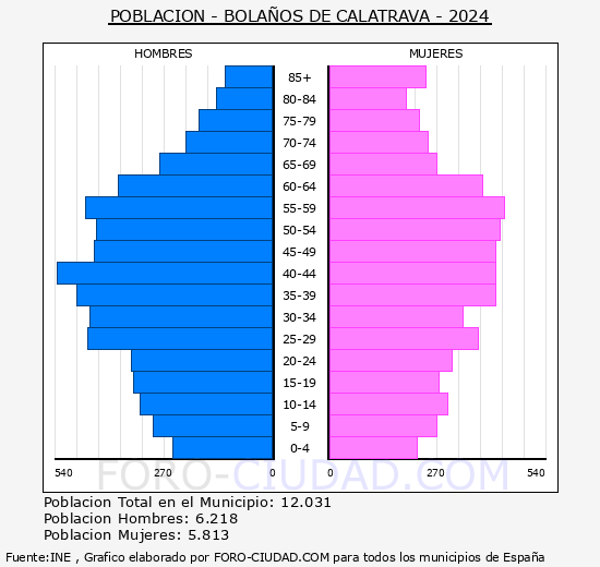 Bolaos de Calatrava - Pirmide de poblacin grupos quinquenales - Censo 2024