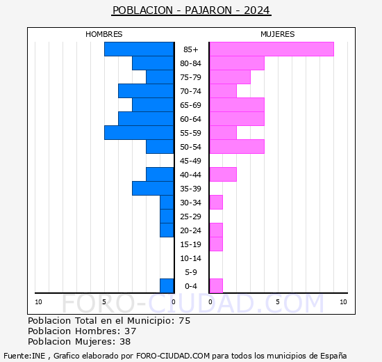 Pajarn - Pirmide de poblacin grupos quinquenales - Censo 2024
