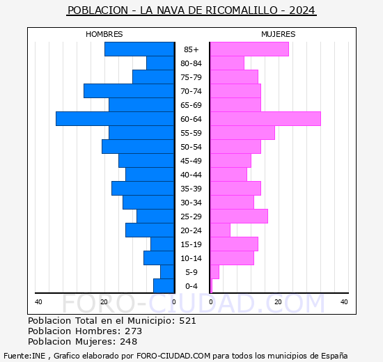La Nava de Ricomalillo - Pirmide de poblacin grupos quinquenales - Censo 2024