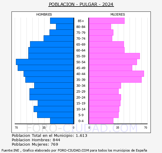 Pulgar - Pirmide de poblacin grupos quinquenales - Censo 2024