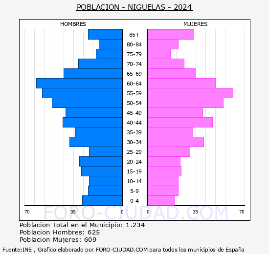 Nig�elas - Pir�mide de poblaci�n grupos quinquenales - Censo 2024