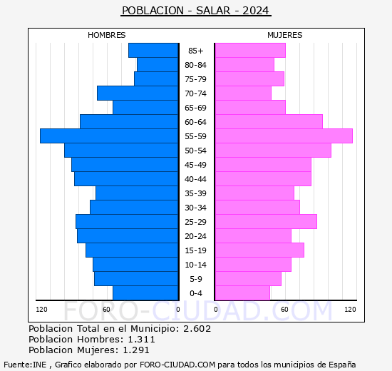 Salar - Pirmide de poblacin grupos quinquenales - Censo 2024
