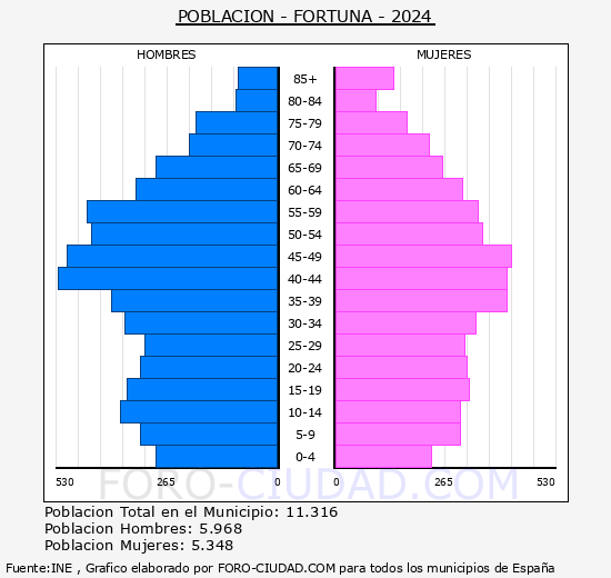 Fortuna - Pirmide de poblacin grupos quinquenales - Censo 2024
