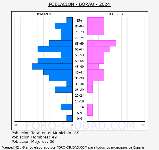 Borau - Pirmide de poblacin grupos quinquenales - Censo 2024