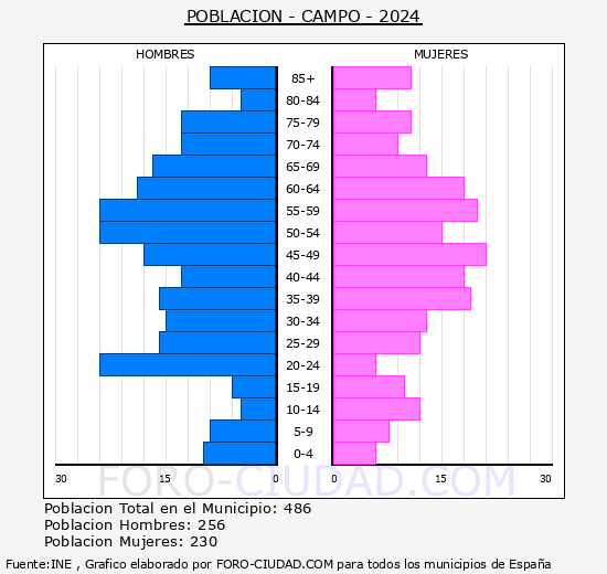 Campo - Pirmide de poblacin grupos quinquenales - Censo 2024