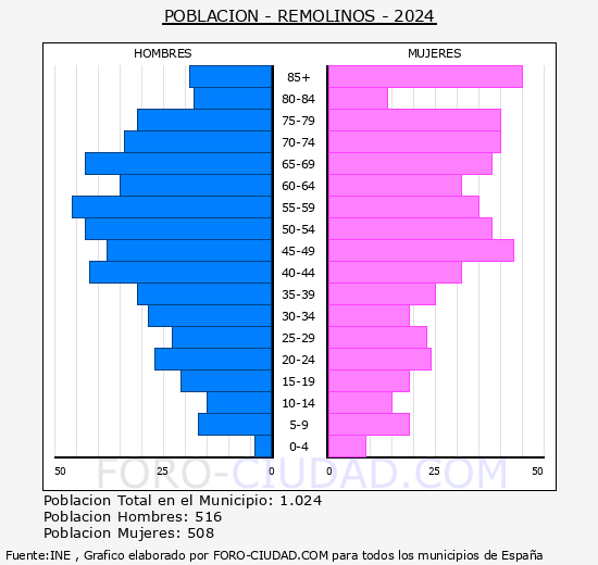 Remolinos - Pirmide de poblacin grupos quinquenales - Censo 2024