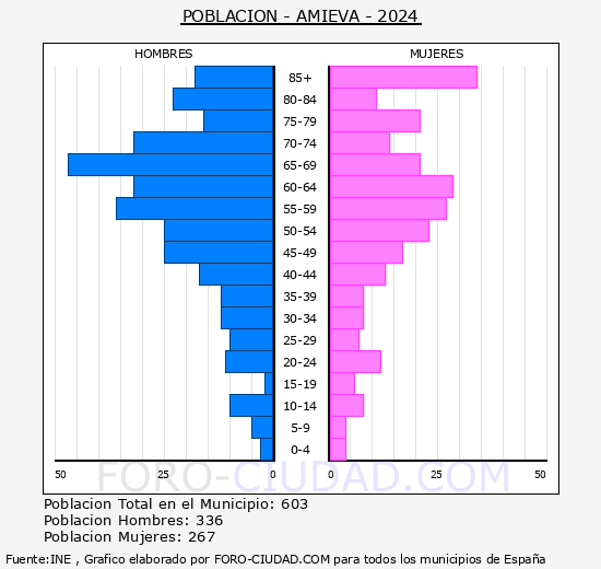 Amieva - Pirmide de poblacin grupos quinquenales - Censo 2024