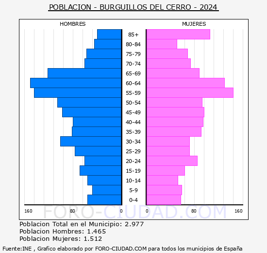 Burguillos del Cerro - Pir�mide de poblaci�n grupos quinquenales - Censo 2024