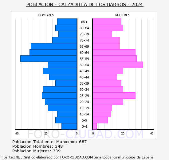 Calzadilla de los Barros - Pirmide de poblacin grupos quinquenales - Censo 2024