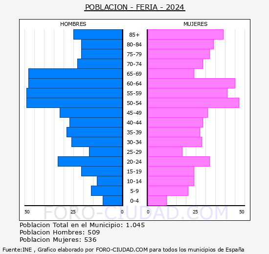 Feria - Pirmide de poblacin grupos quinquenales - Censo 2024