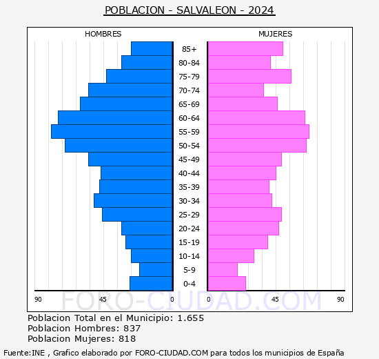 Salvalen - Pirmide de poblacin grupos quinquenales - Censo 2024