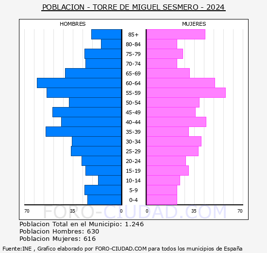 Torre de Miguel Sesmero - Pirmide de poblacin grupos quinquenales - Censo 2024