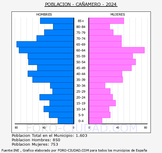 Caamero - Pirmide de poblacin grupos quinquenales - Censo 2024