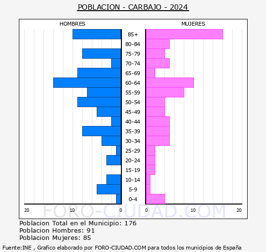 Carbajo - Pirmide de poblacin grupos quinquenales - Censo 2024