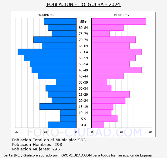 Holguera - Pirmide de poblacin grupos quinquenales - Censo 2024